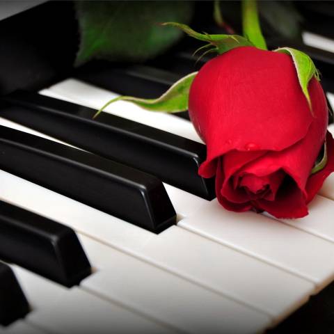 My Piano Lessons