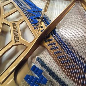 My Piano Lessons