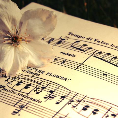 My Piano Lessons